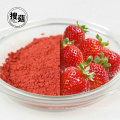 Bulk vakuumverpacktes gefriergetrocknetes Erdbeerpulver für Bäckerei oder Eiscreme